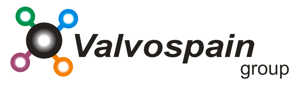 Logo de VALVOSPAIN
